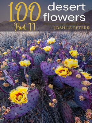 cover image of 100 Desert Flowers Part II